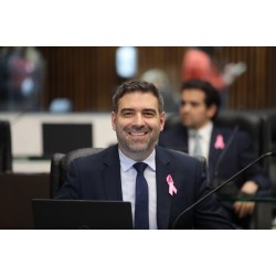 Projetos voltados à saúde e segurança da mulher propostos pelo deputado Denian Couto